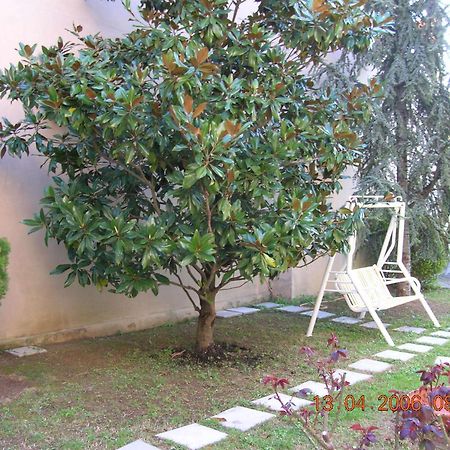 Hotel Trieste سينِغاليا المظهر الخارجي الصورة